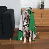 Plymouth Argyle Dog Blanket