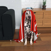 Gloucester Rugby Dog Blanket