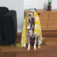 Maidstone United Dog Blanket