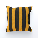 Black & Gold Cushion