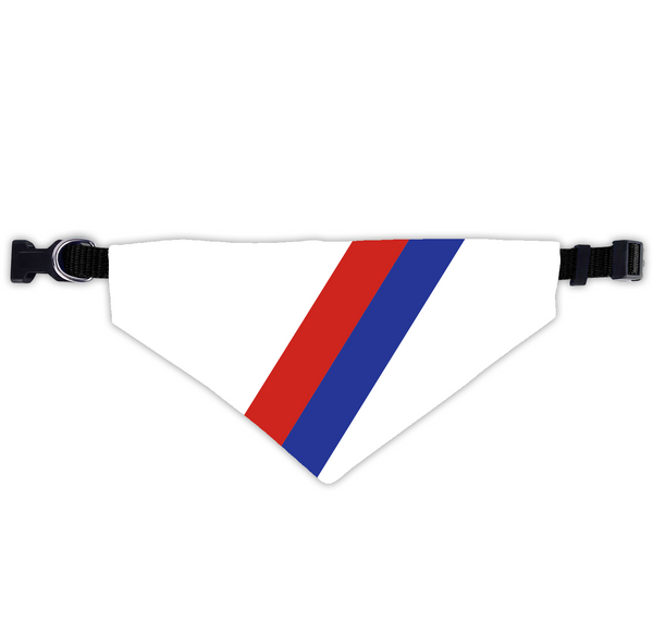 Crystal Palace Dog Scarf With Collar