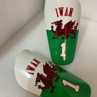 Wales Shin Pads