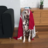 Bristol City Dog Blanket
