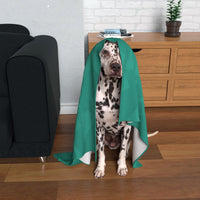 Hibernian Dog Blanket