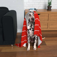 Nottingham Forest Dog Blanket