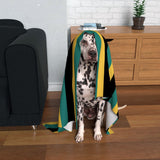 Northampton Saints Dog Blanket
