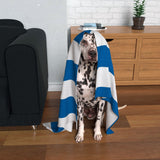 Blue and White Dog Blanket
