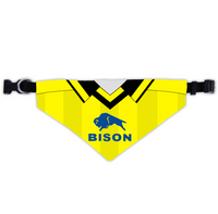 Burton Dog Scarf - 2005 Home