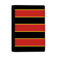 Red & Black & Gold (Pinstripes) Passport Cover