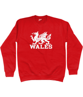 Wales Sweatshirt (White Dragon)