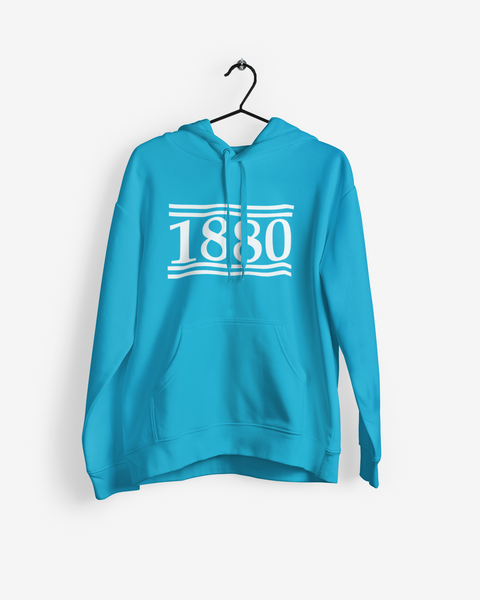 Manchester City Hoodie - 1880