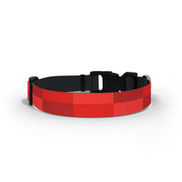 Aberdeen Dog Collar