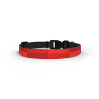 Aberdeen Dog Collar