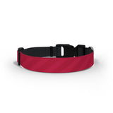 Bristol City Dog Collar