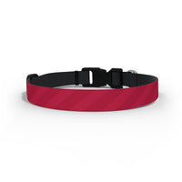 Bristol City Dog Collar