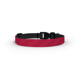 Bristol City Dog Collar