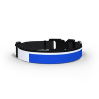 Bristol Rovers Dog Collar