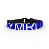 Cardiff City Dog Collar