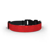 Morecambe Dog Collar