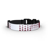 Northampton Town Dog Collar