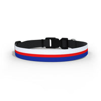 QPR Dog Collar