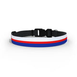 QPR Dog Collar