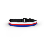 QPR Dog Collar