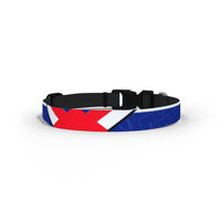 Reading Dog Collar