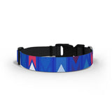 Rochdale Dog Collar