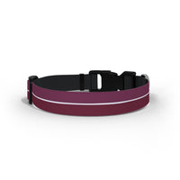 West Ham Dog Collar - Avco