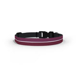 West Ham Dog Collar - Avco