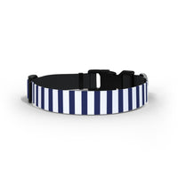 Bristol Bears Dog Collar