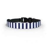 Bristol Bears Dog Collar