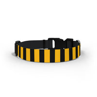 Wasps Dog Collar