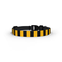 Wasps Dog Collar