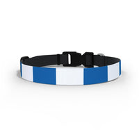 Blue & White Dog Collar